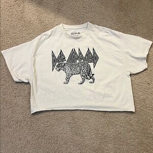 Def Leppard Leopard Graphic Crop Top